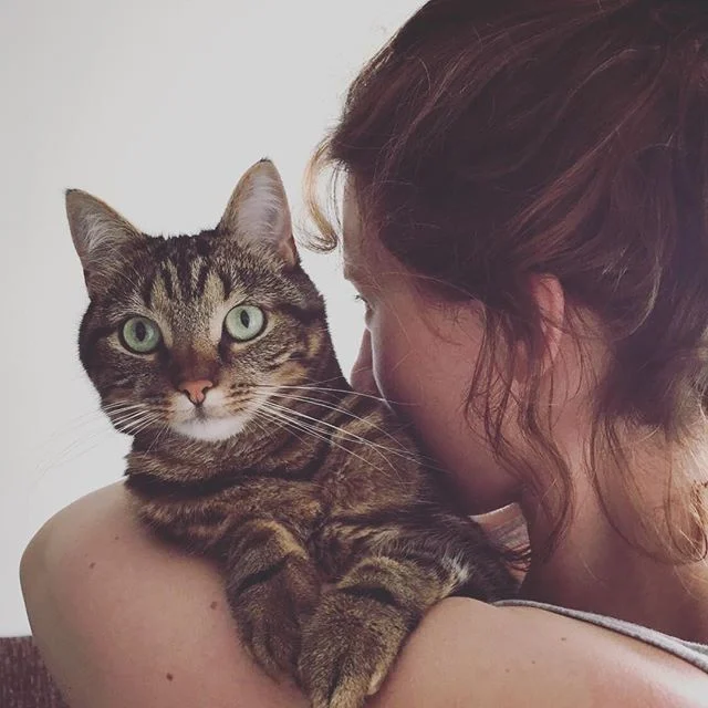 Lied van een Kattenvrouwtje, Anne en Kroepoek